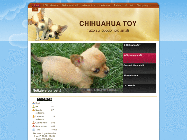 www.chihuahuatoy.com