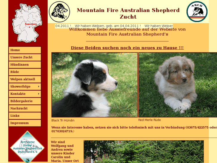 www.mountainfire-aussies.de