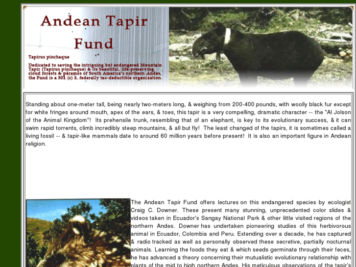 www.andeantapirfund.com