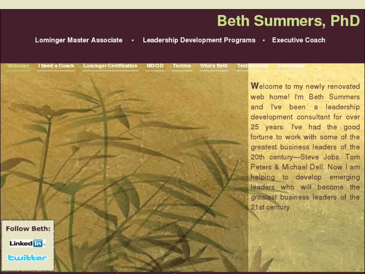 www.bethsummers.com