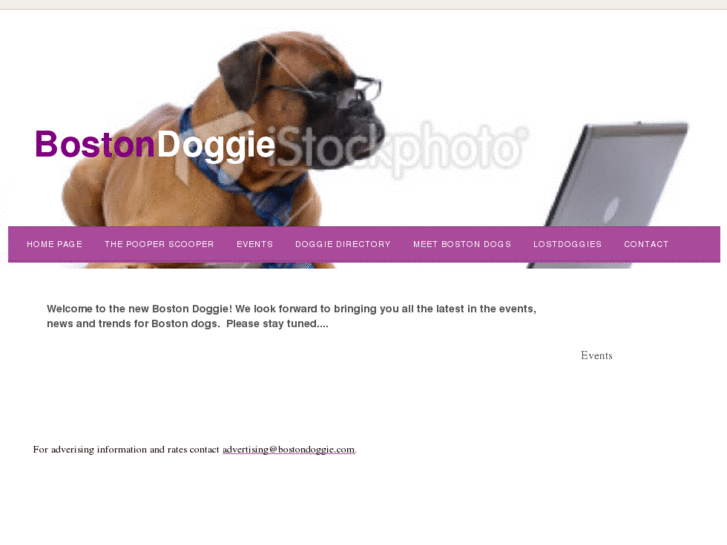 www.bostondoggie.com