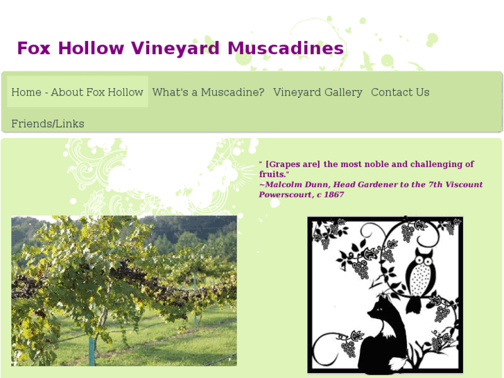 www.foxhollowmuscadines.com