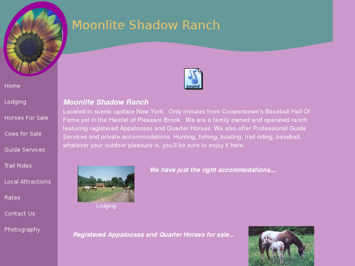 www.moonliteshadowranch.com