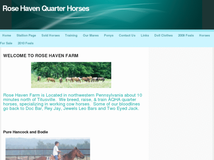 www.rosehavenquarterhorses.net