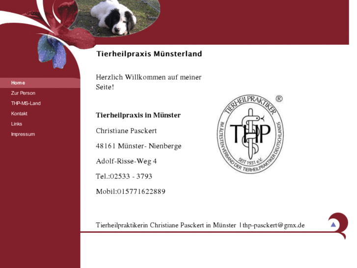 www.tierheilpraxis-muensterland.com