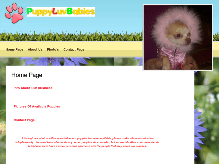 www.puppyluvbabies.com