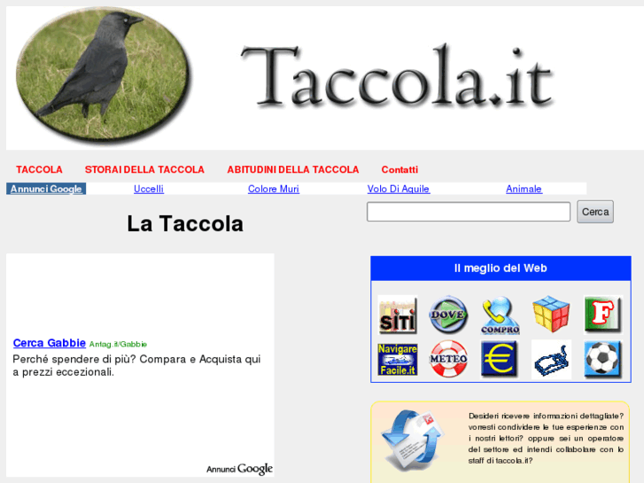 www.taccola.it