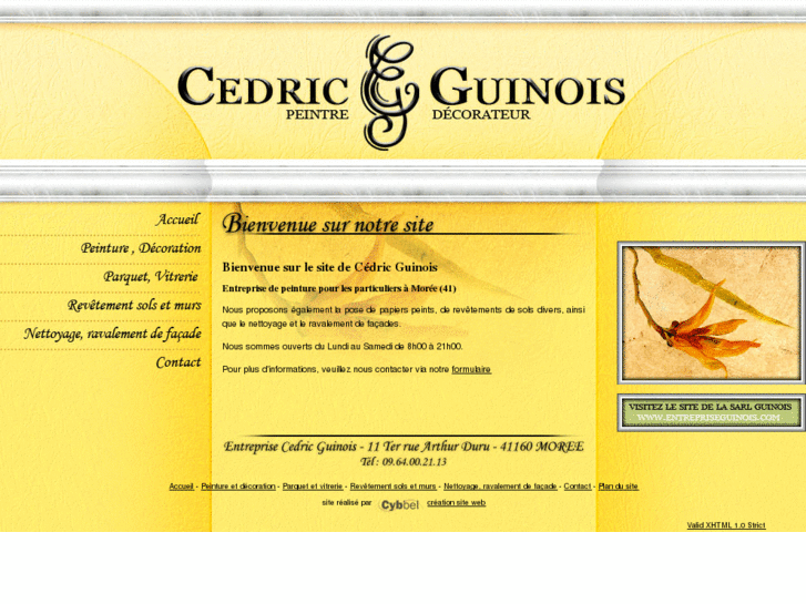 www.cedric-guinois.com