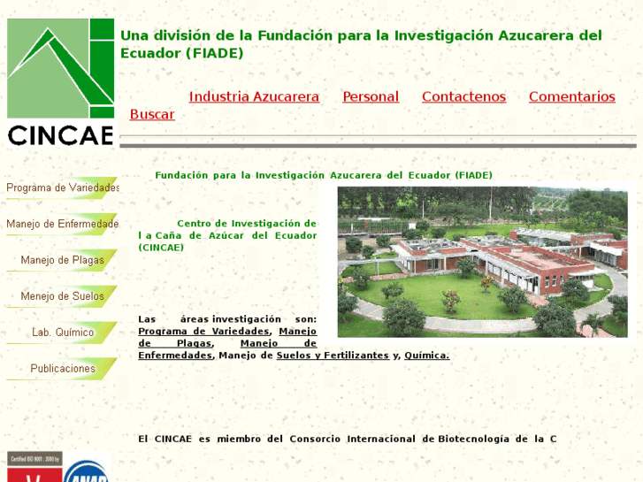 www.cincae.com
