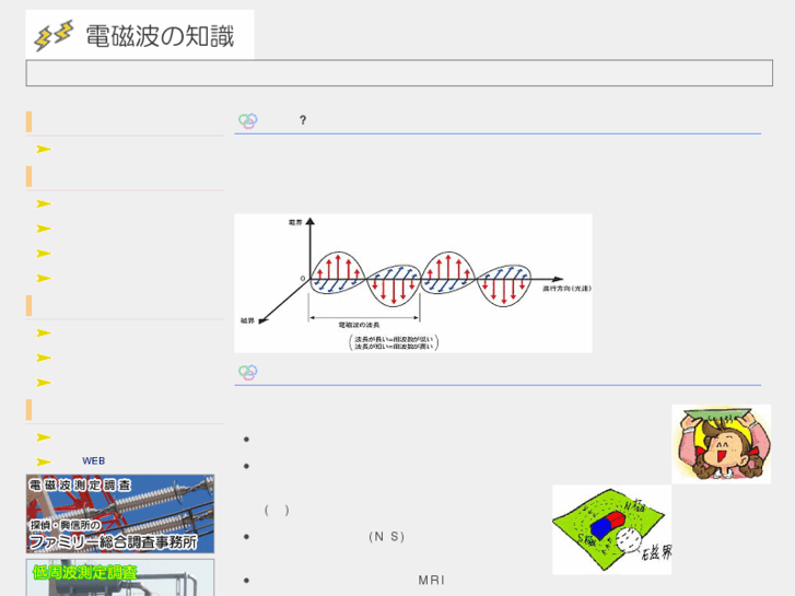 www.electromagnetic-wave.net