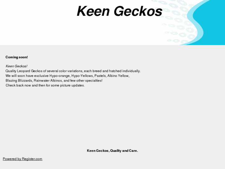 www.keengeckos.com