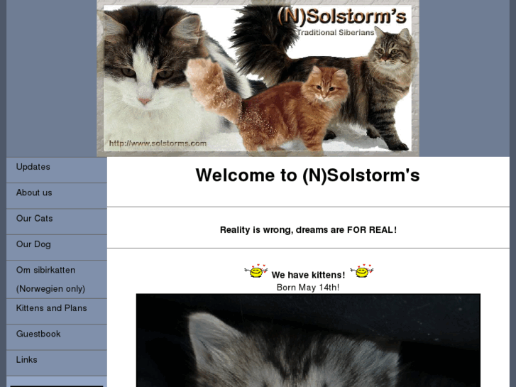 www.solstorms.com