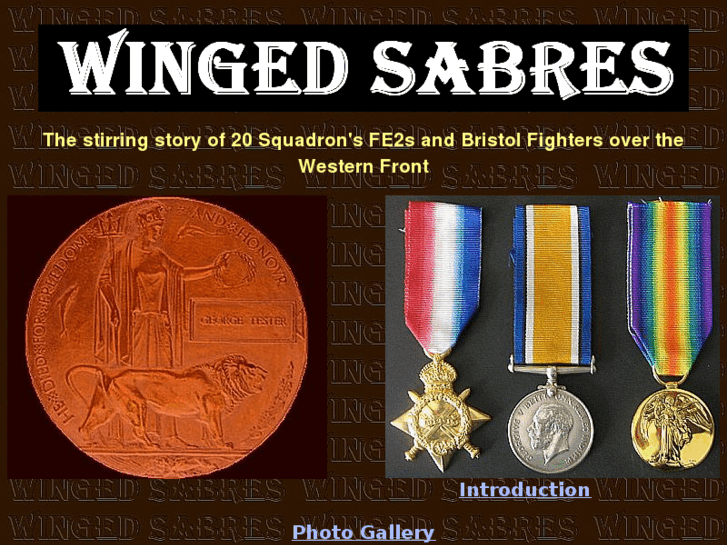 www.winged-sabres.com