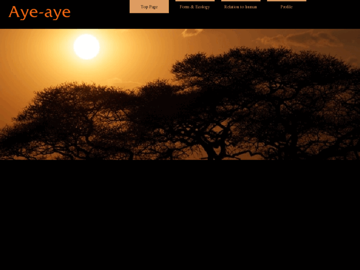 www.aye-aye-aye.com