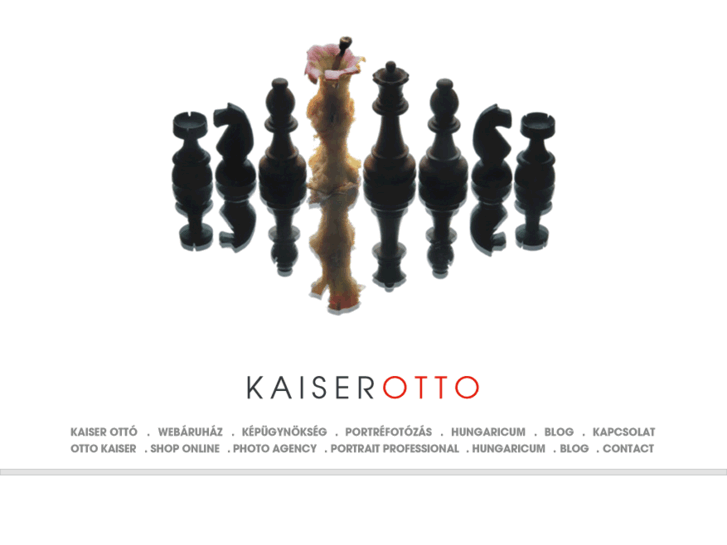 www.kaiserotto.hu