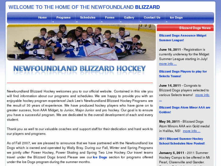 www.newfoundlandblizzard.com