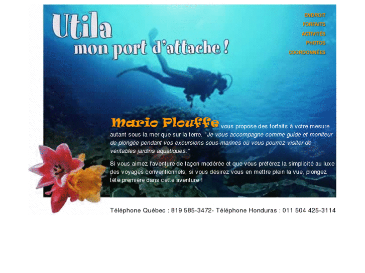 www.plongeesousmarine.net