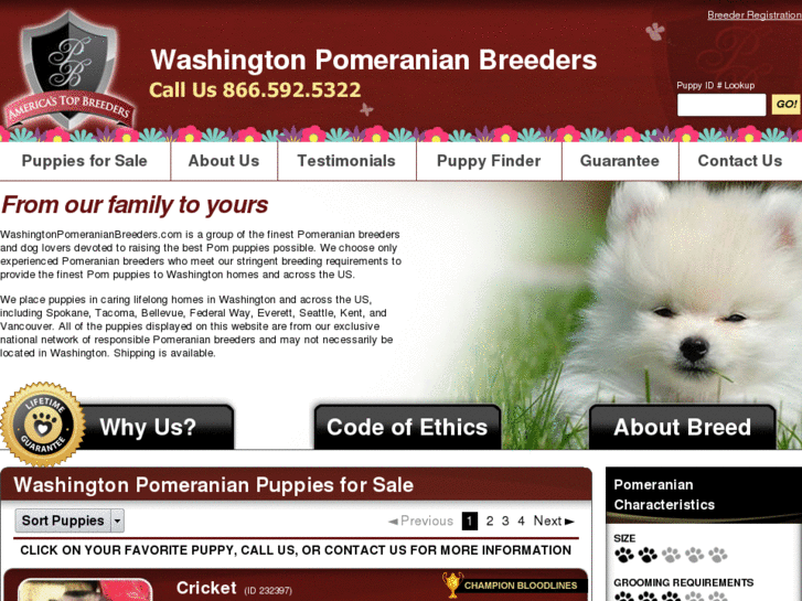 www.washingtonpomeranianbreeders.com