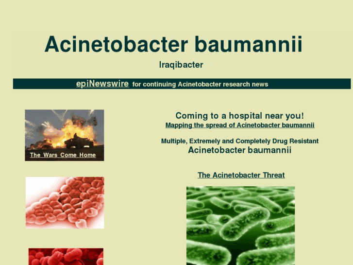 www.acinetobacterbaumannii.org