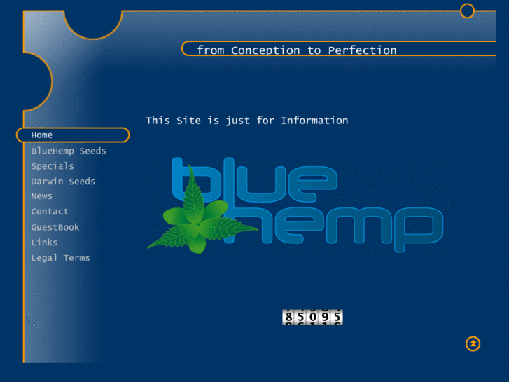 www.bluehemp.ch