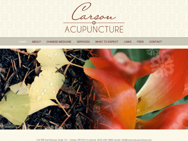 www.carsonacupuncture.com