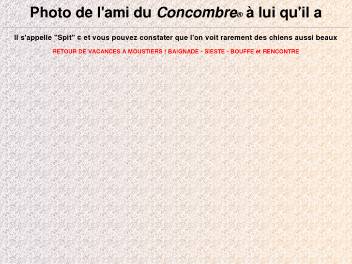 www.concombre-masque.com