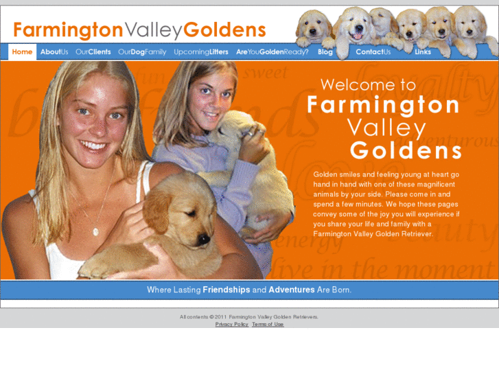 www.farmingtonvalleygoldenretrievers.com