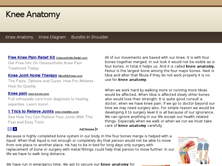 www.kneeanatomy.info