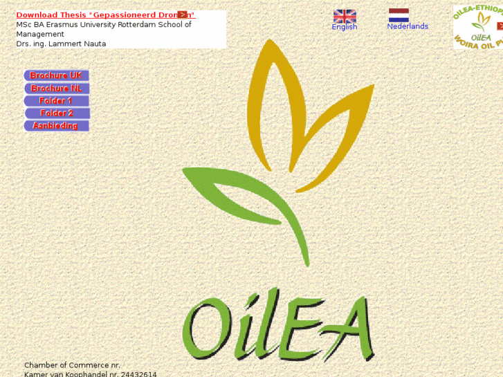 www.oilea.com