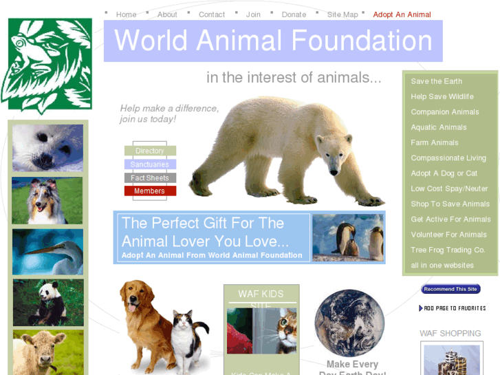 www.worldanimalfoundation.com