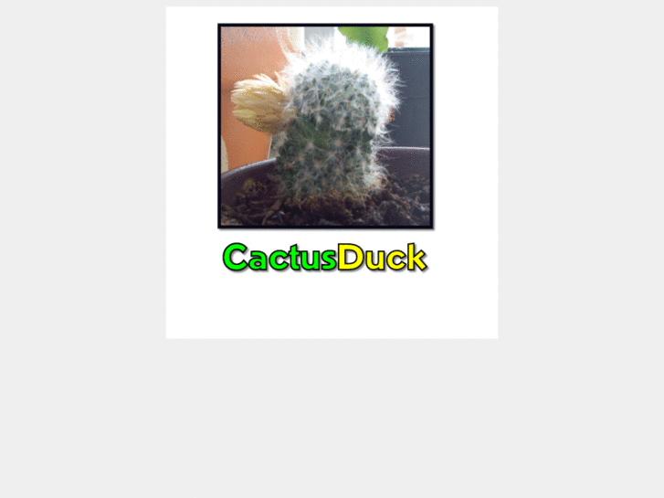 www.cactusduck.com
