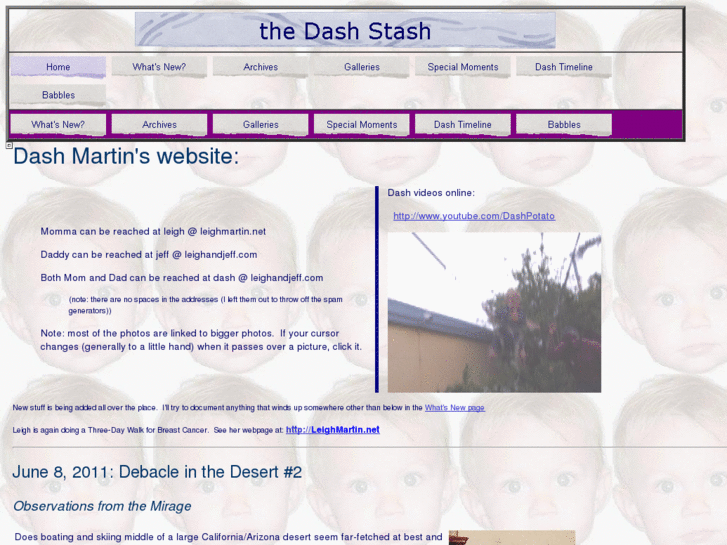 www.dashmartin.net