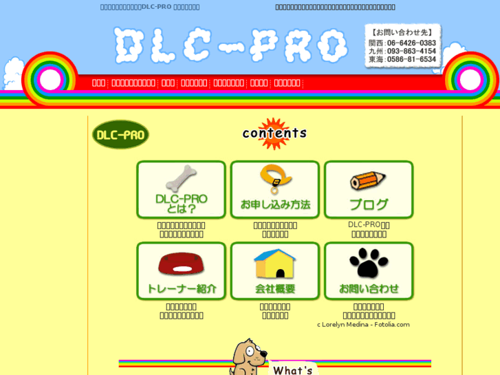 www.dlc-pro.jp