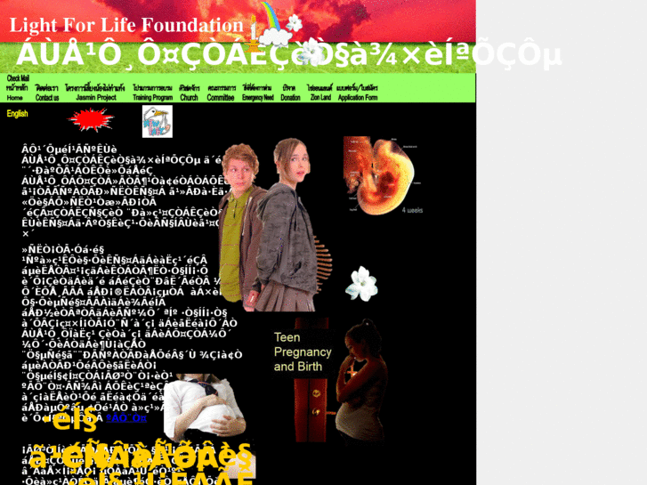 www.light2life.net