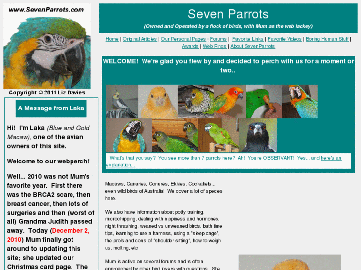 www.sevenparrots.com