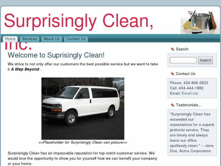 www.surprisinglyclean.com