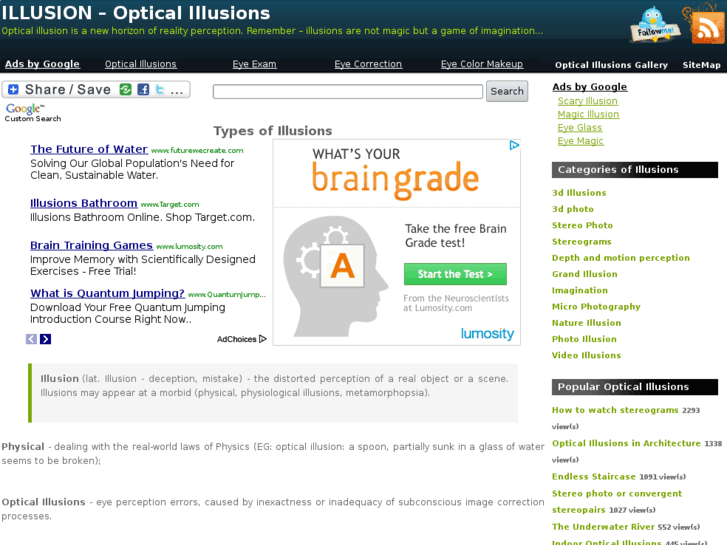 www.theopticalillusions.com
