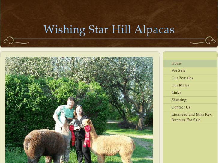 www.wishingstarhillalpacas.com