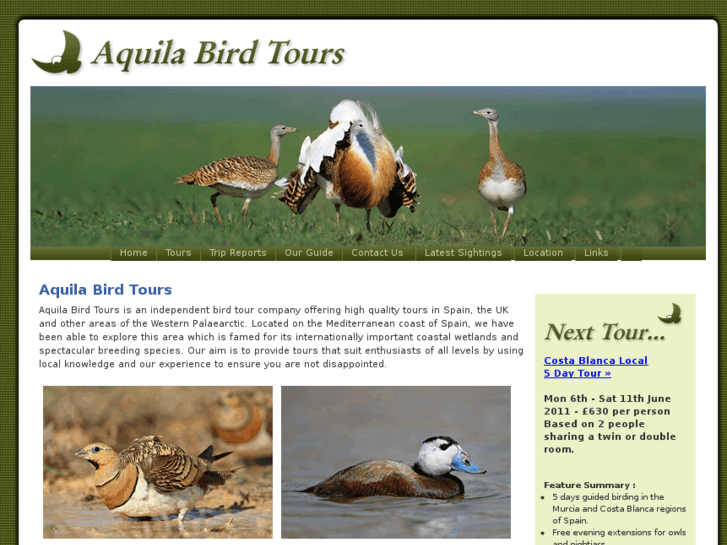 www.aquilabirdtours.com