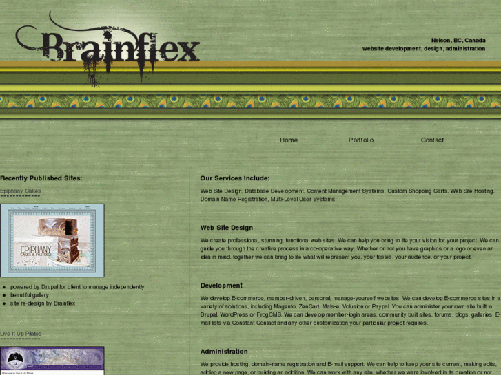www.brainflex.ca