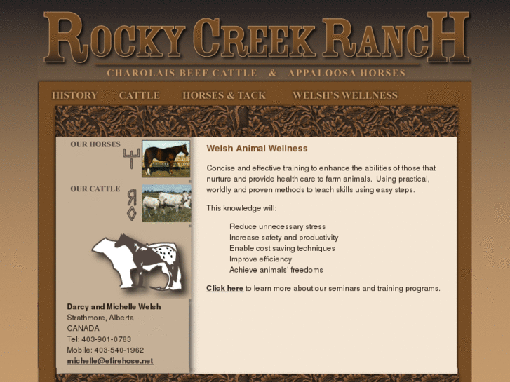 www.rockyranchhorses.com