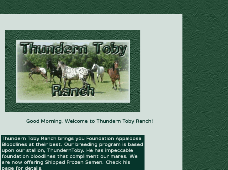 www.thunderntobyranch.com