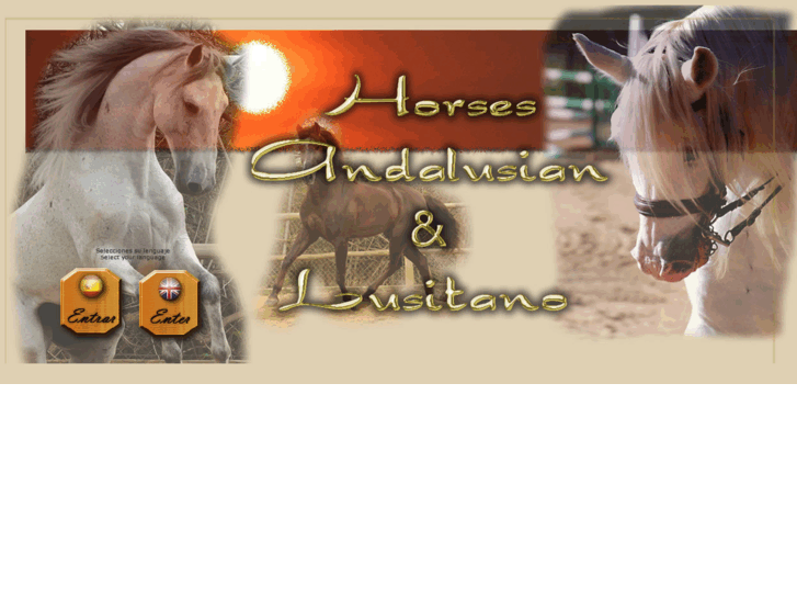 www.andalusianandlusitanohorses.es