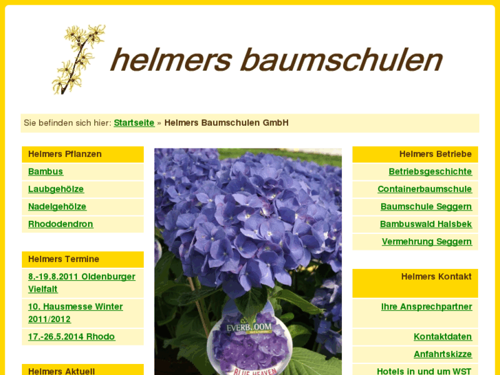 www.bambusgarten.info