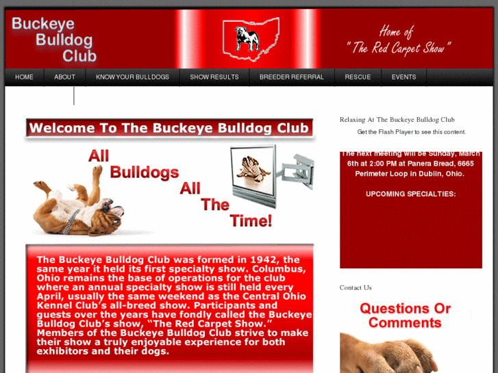 www.buckeyebulldogclub.com