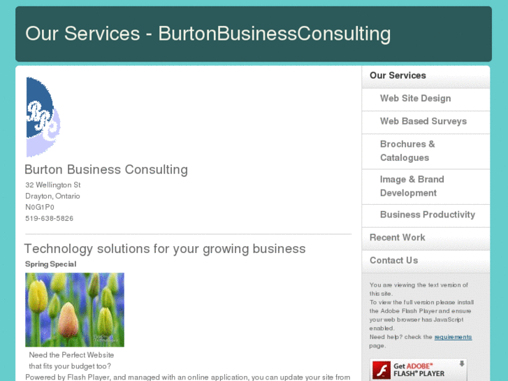 www.burtonbusinessconsulting.com