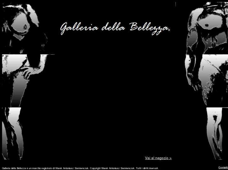 www.galleriadellabellezza.com