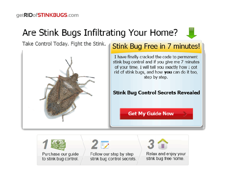 www.getridofstinkbugs.com