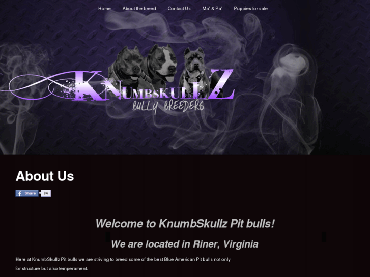 www.knumbskullzpitbulls.com