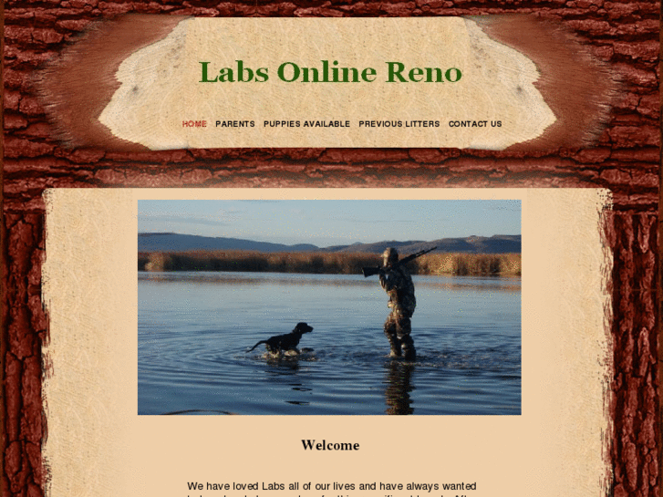 www.labsonlinereno.com